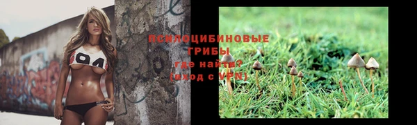 прущий лед Вязники