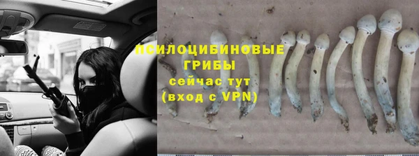 метадон Вяземский