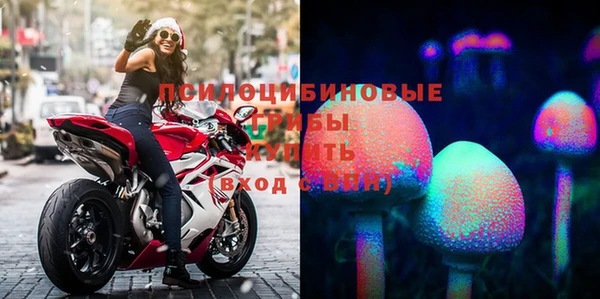 амф Вязьма