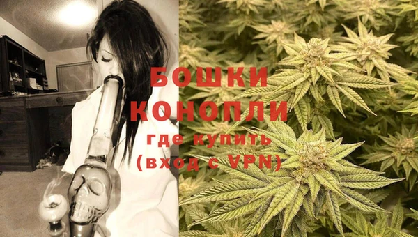 метадон Вяземский