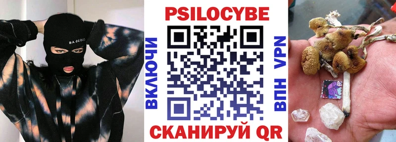 Псилоцибиновые грибы Psilocybine cubensis  даркнет сайт  mega ССЫЛКА  Мглин 